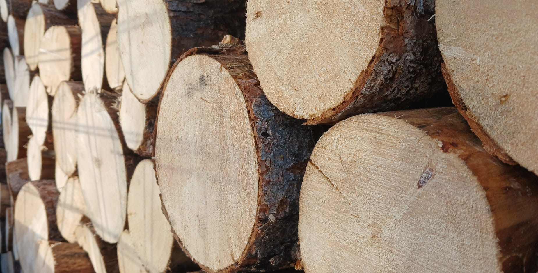 Stacked spruce firewood logs for sale in Whitehorse, Yukon